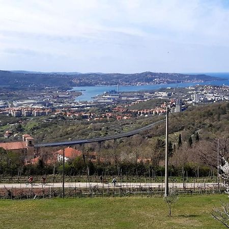Bellavista Trieste San Dorligo della Valle Bagian luar foto