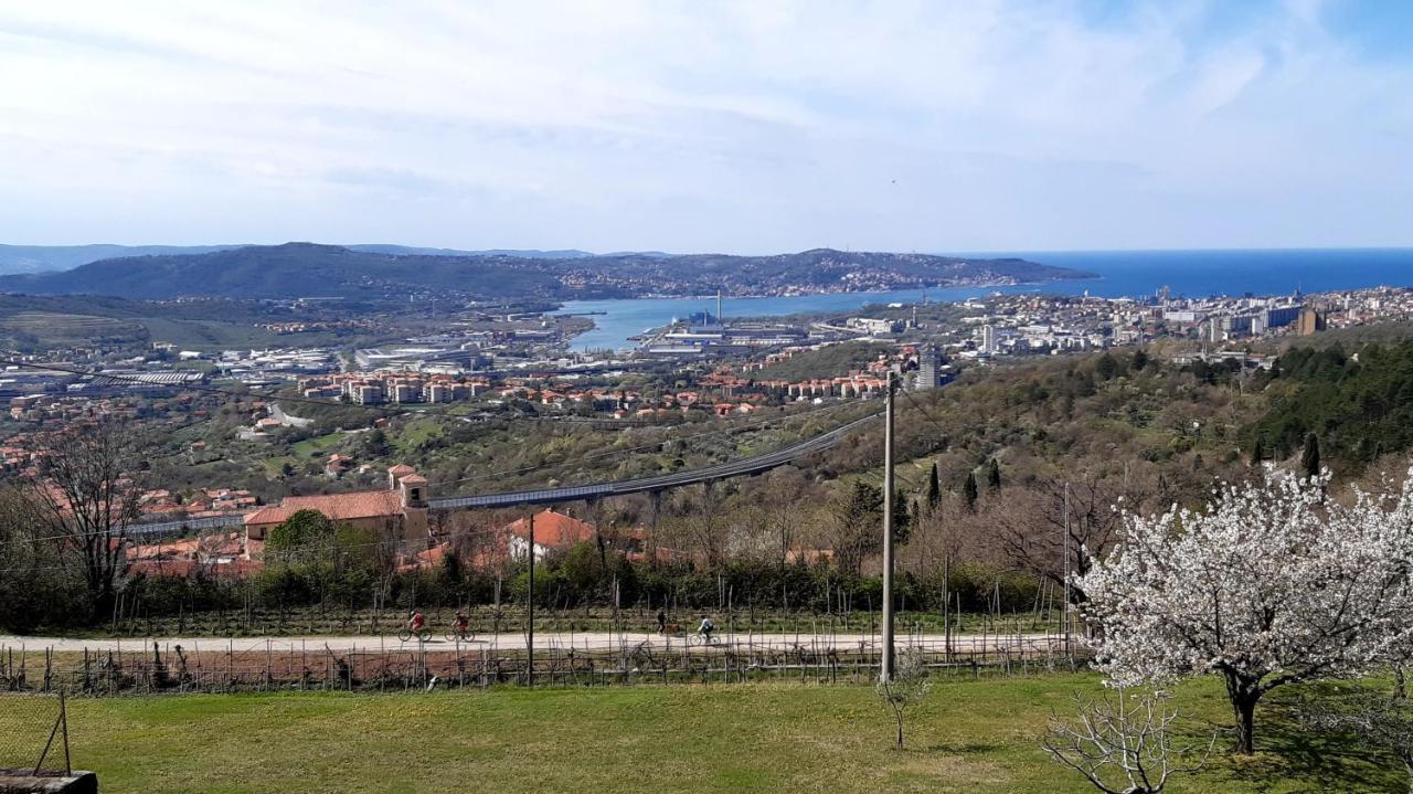 Bellavista Trieste San Dorligo della Valle Bagian luar foto