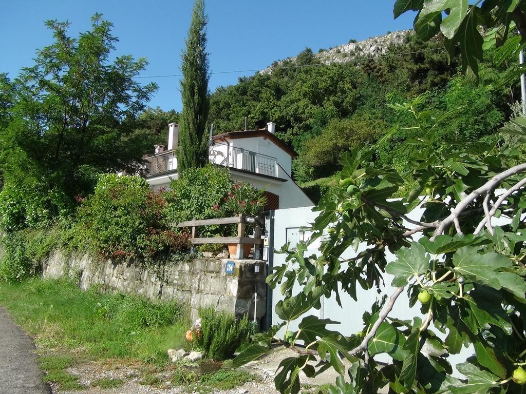 Bellavista Trieste San Dorligo della Valle Bagian luar foto