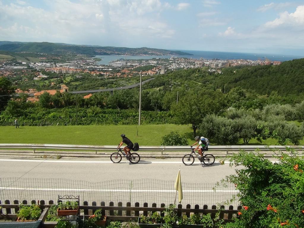 Bellavista Trieste San Dorligo della Valle Bagian luar foto